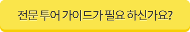 전문 투어 가이드가 필요 하신가요?