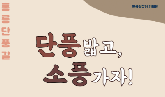 관광정보