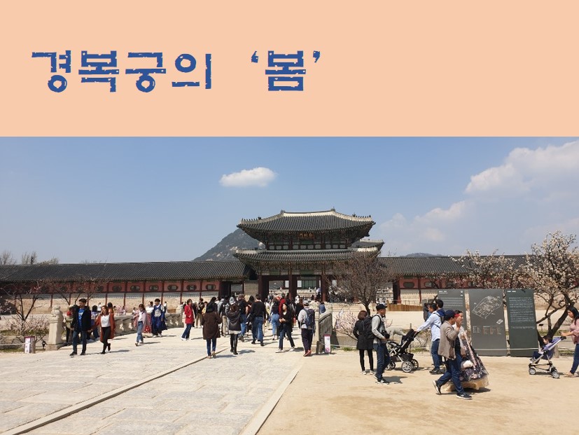 관광정보